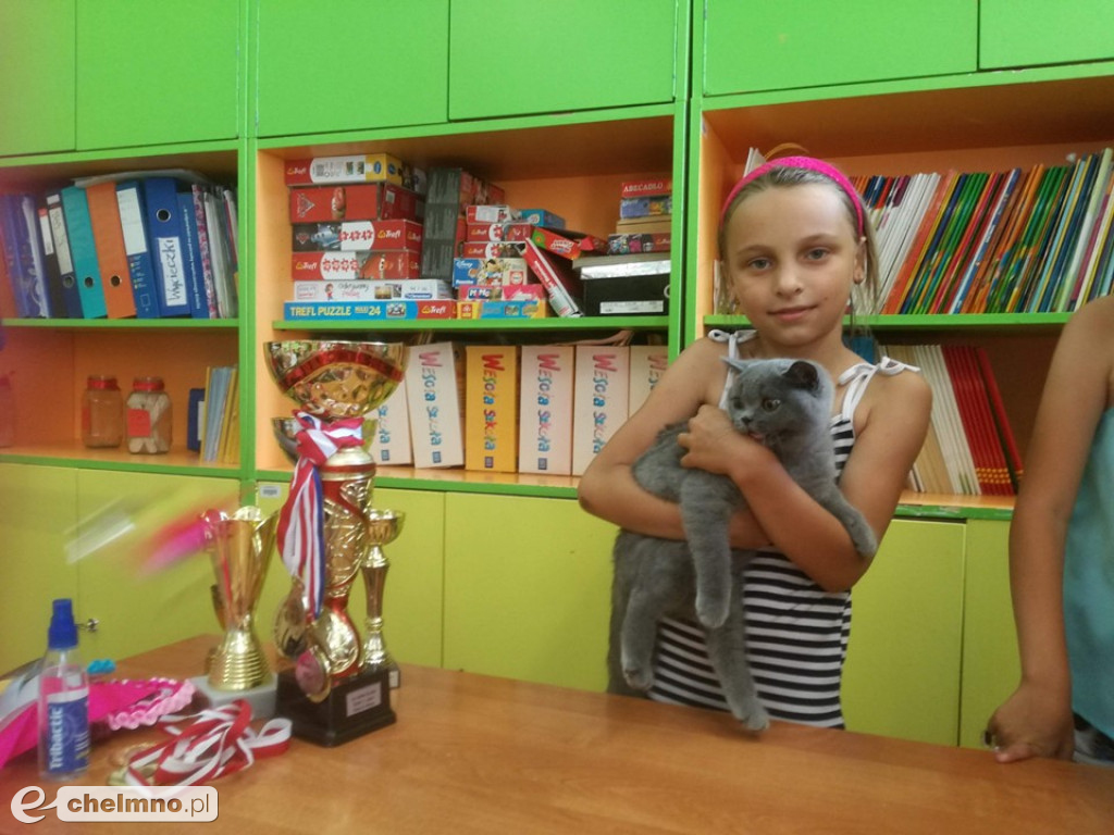 Konkursy z rodzicami i lekcja o kotach brytyjskich