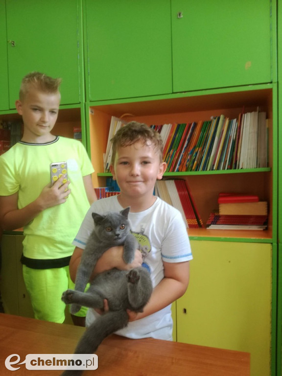 Konkursy z rodzicami i lekcja o kotach brytyjskich