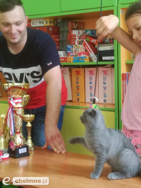Konkursy z rodzicami i lekcja o kotach brytyjskich