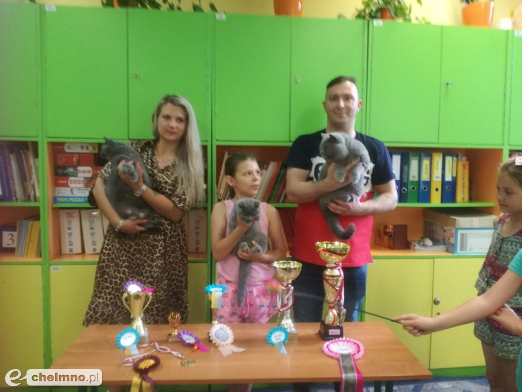 Konkursy z rodzicami i lekcja o kotach brytyjskich