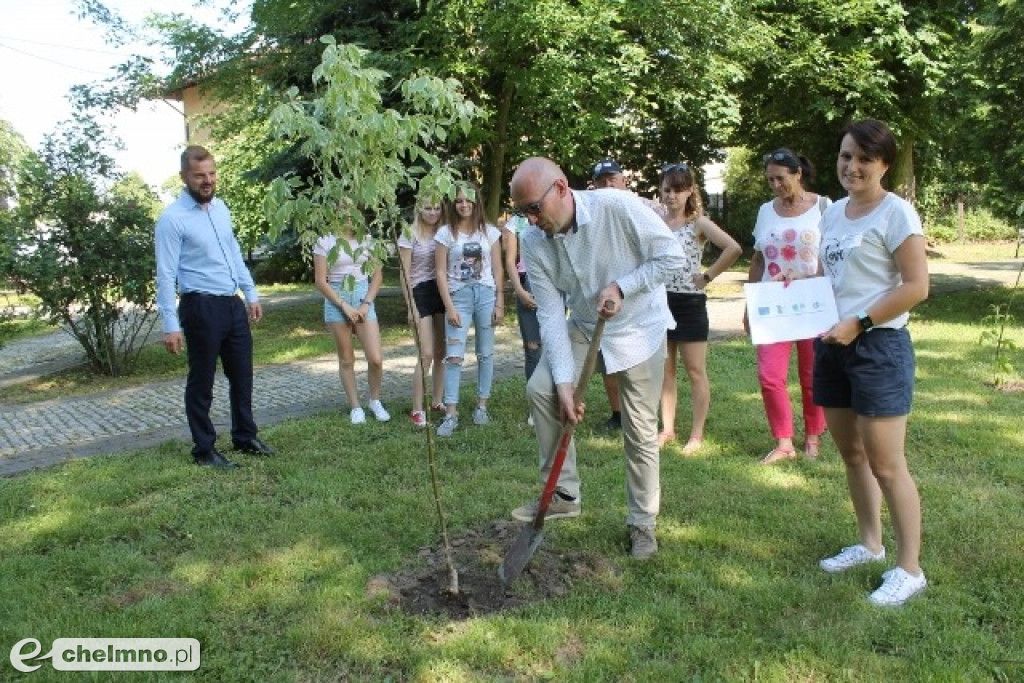 Piknik w Parku: Miętowe Święto z Eleni