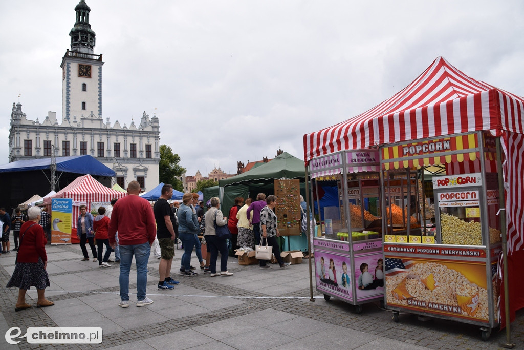 Wszystko czego dusza zapragnie na Jarmarku Jaszczurczym