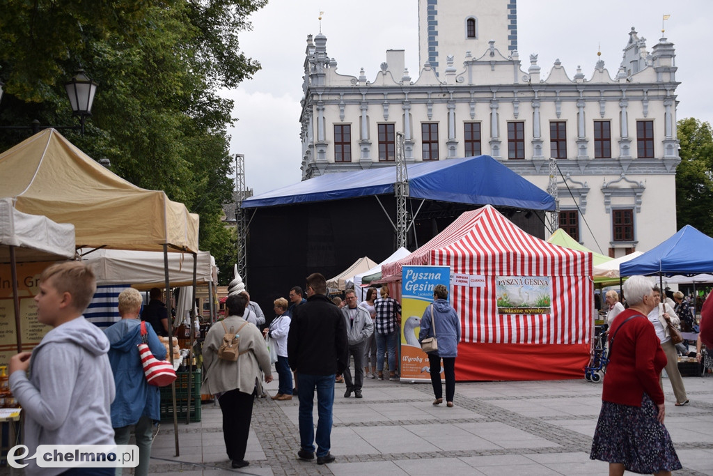 Wszystko czego dusza zapragnie na Jarmarku Jaszczurczym