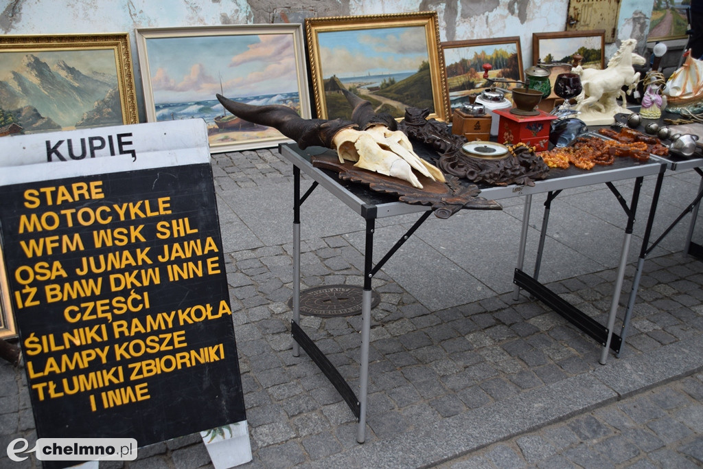 Wszystko czego dusza zapragnie na Jarmarku Jaszczurczym