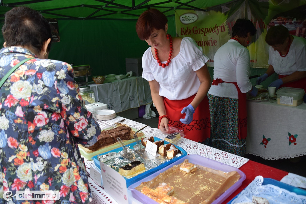 Wszystko czego dusza zapragnie na Jarmarku Jaszczurczym