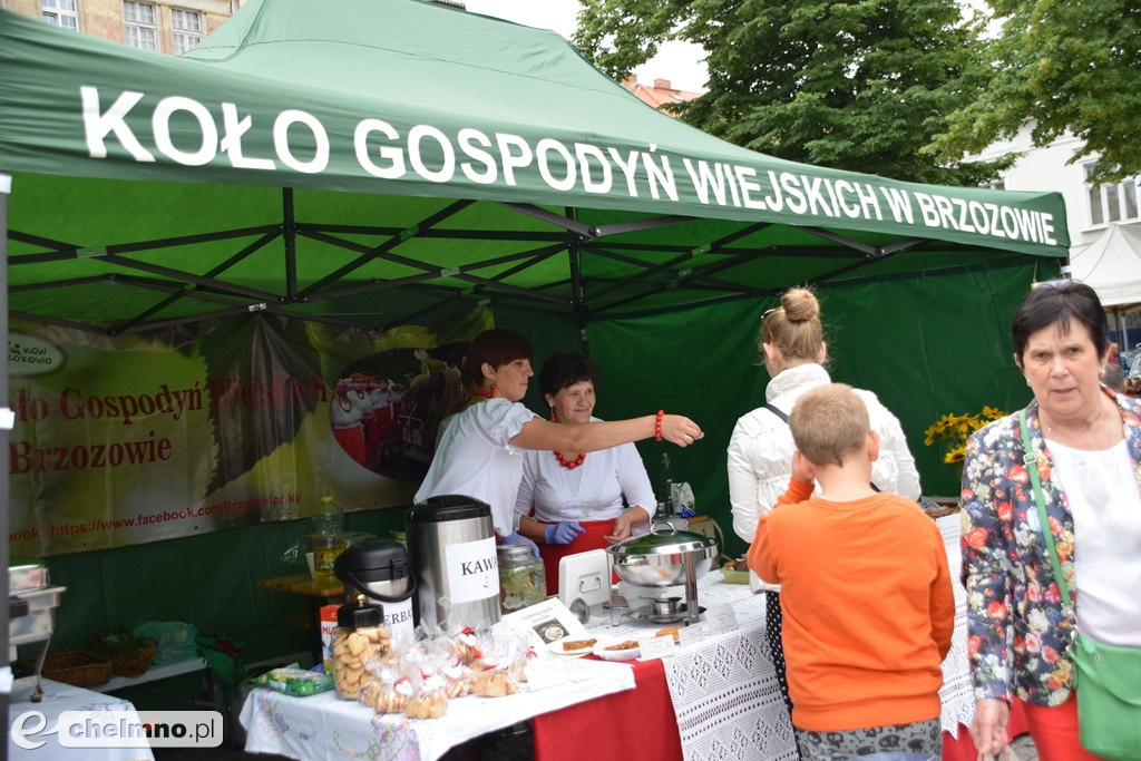Wszystko czego dusza zapragnie na Jarmarku Jaszczurczym