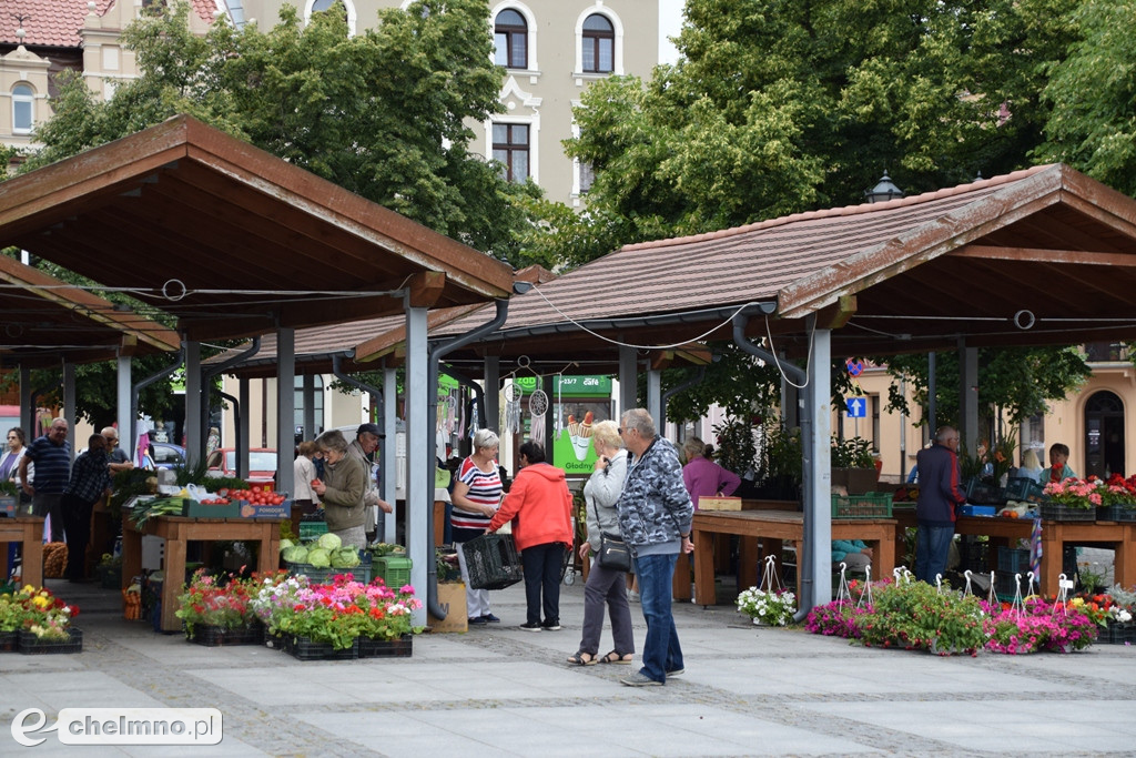 Wszystko czego dusza zapragnie na Jarmarku Jaszczurczym