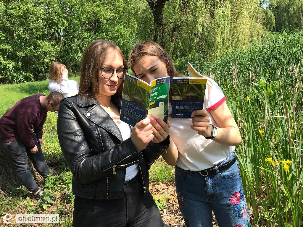 Półmetek realizacji projektu edukacyjnego