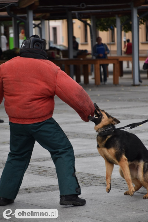 Zderzenie dwóch aut na chełmińskim Rynku