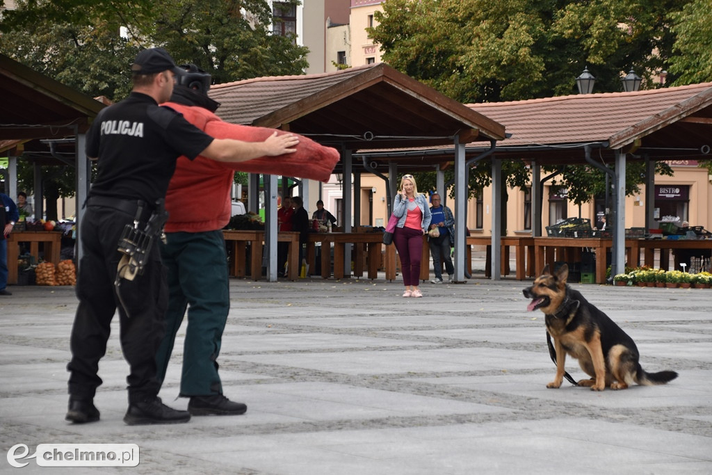 Zderzenie dwóch aut na chełmińskim Rynku