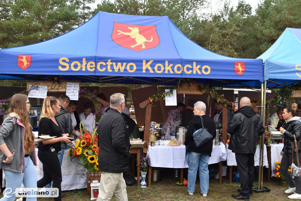 To była świetna impreza. Relacja ze Święta Kapusty