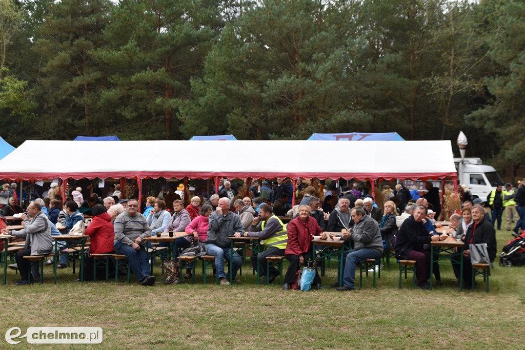 To była świetna impreza. Relacja ze Święta Kapusty