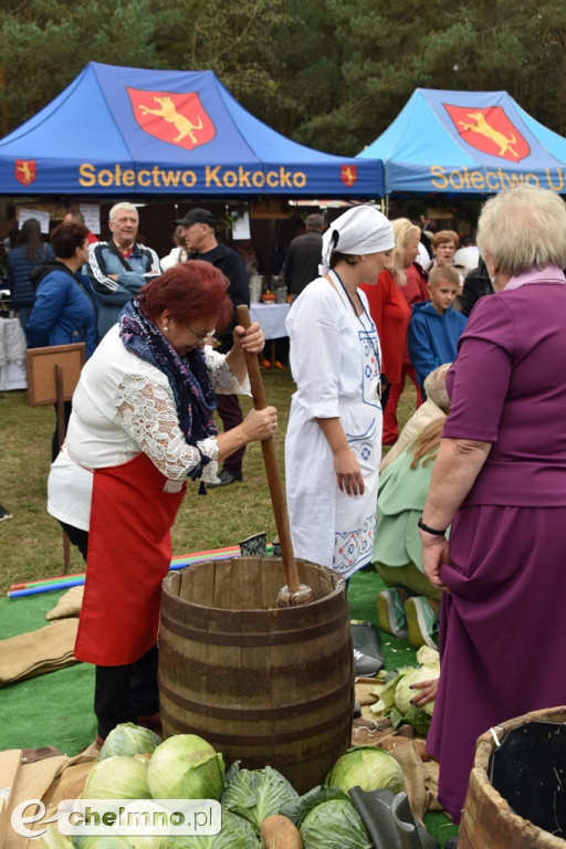 To była świetna impreza. Relacja ze Święta Kapusty