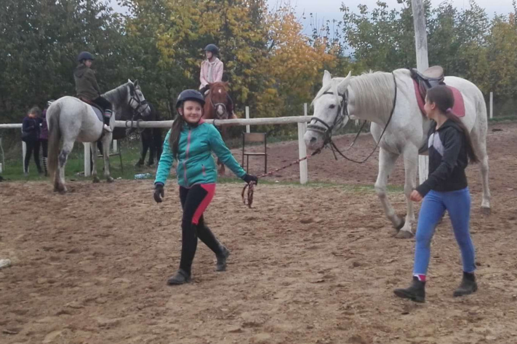 Jesienny weekend w siodle w Ośrodku Jazdy Konnej Górka