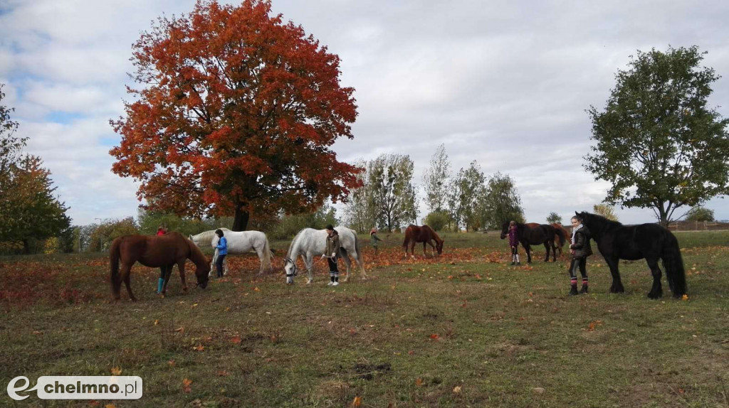 Jesienny weekend w siodle w Ośrodku Jazdy Konnej Górka