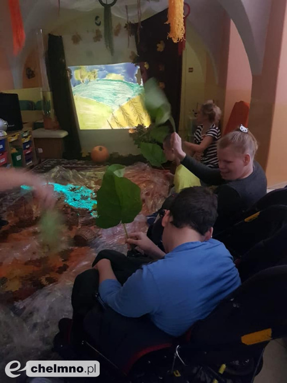 Co kryje w sobie jesień? Zajęcia na terenie DPS