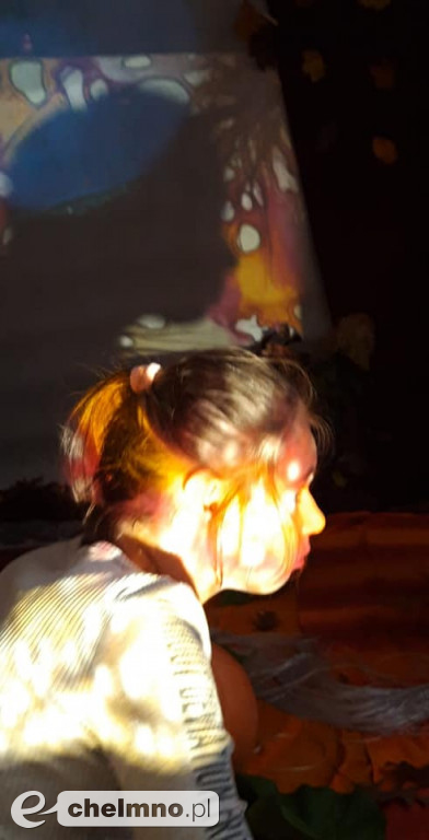 Co kryje w sobie jesień? Zajęcia na terenie DPS