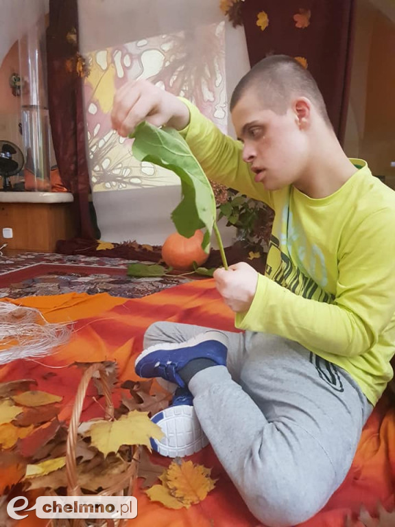 Co kryje w sobie jesień? Zajęcia na terenie DPS