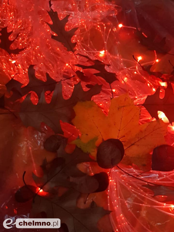 Co kryje w sobie jesień? Zajęcia na terenie DPS