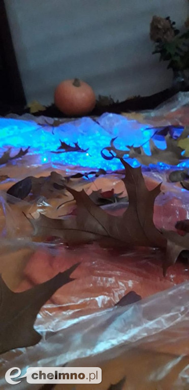 Co kryje w sobie jesień? Zajęcia na terenie DPS