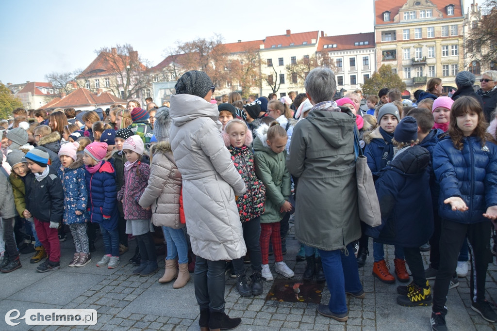 Tłumy uczestników na IV Biegu Niepodległości