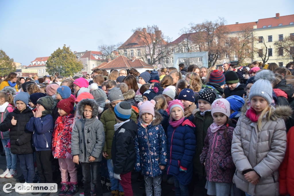 Tłumy uczestników na IV Biegu Niepodległości