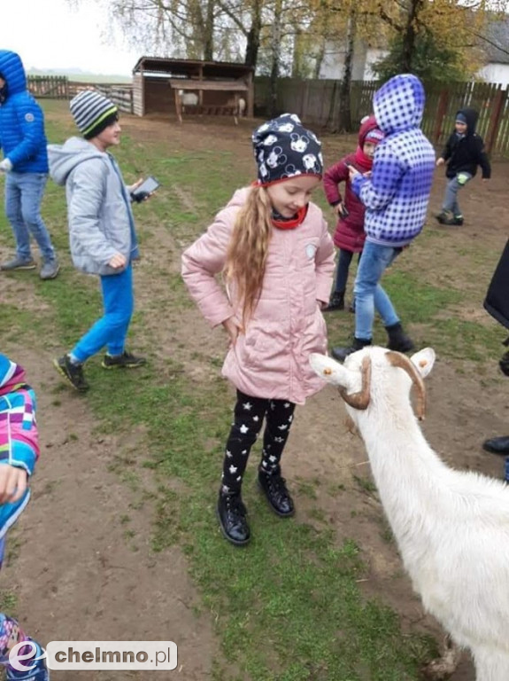 Żniwa dyniowe: zabawa w gospodarstwie