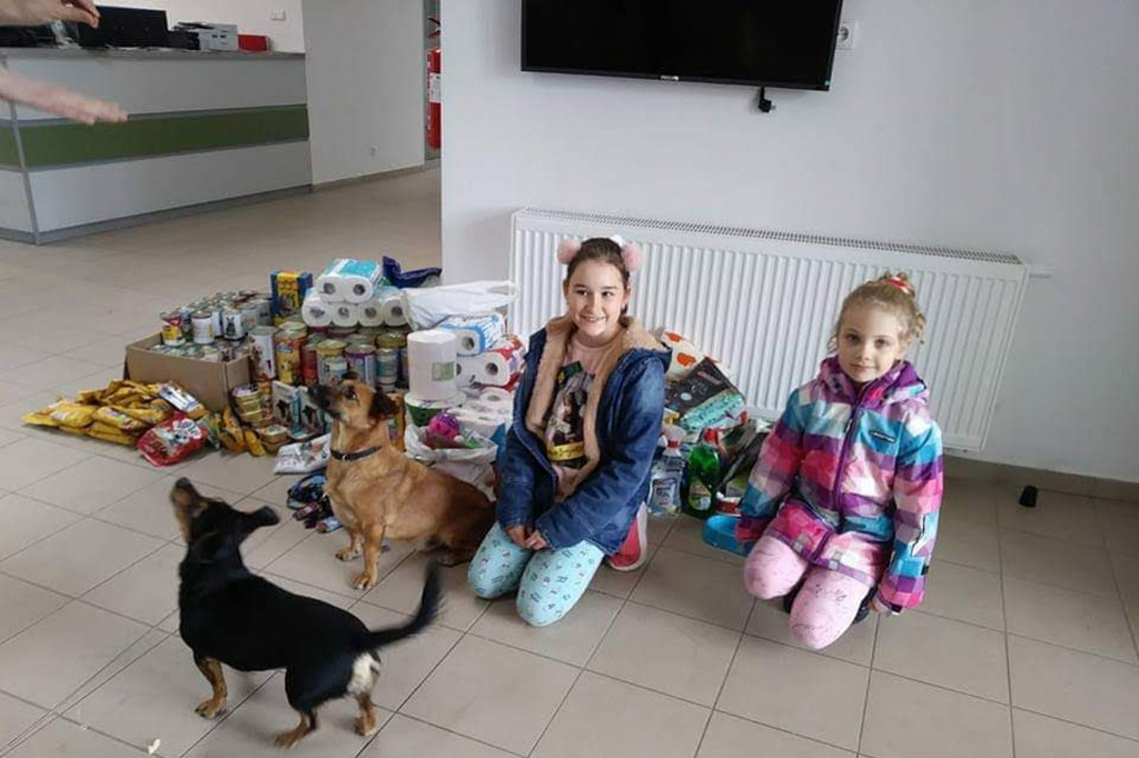 Pełna miska dla schroniska