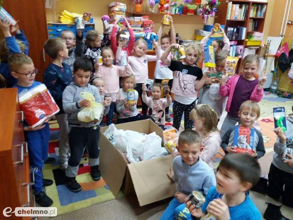 Pełna miska dla schroniska
