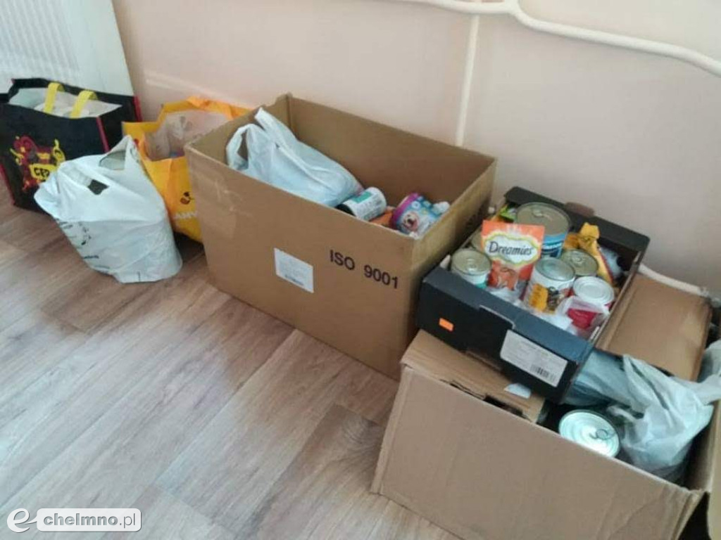 Pełna miska dla schroniska