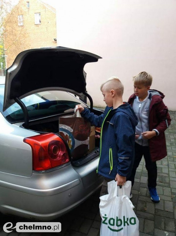 Pełna miska dla schroniska