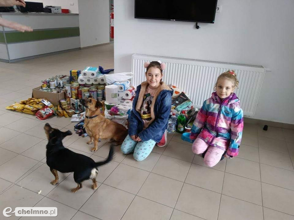 Pełna miska dla schroniska
