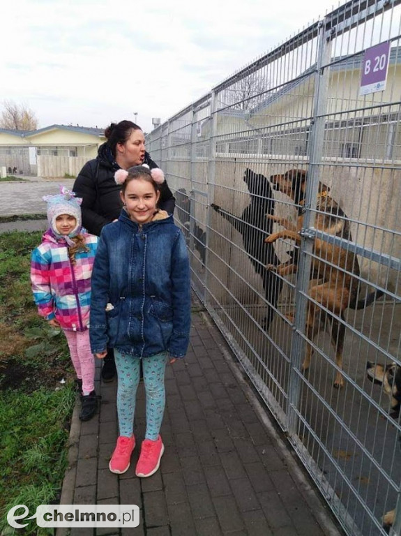 Pełna miska dla schroniska