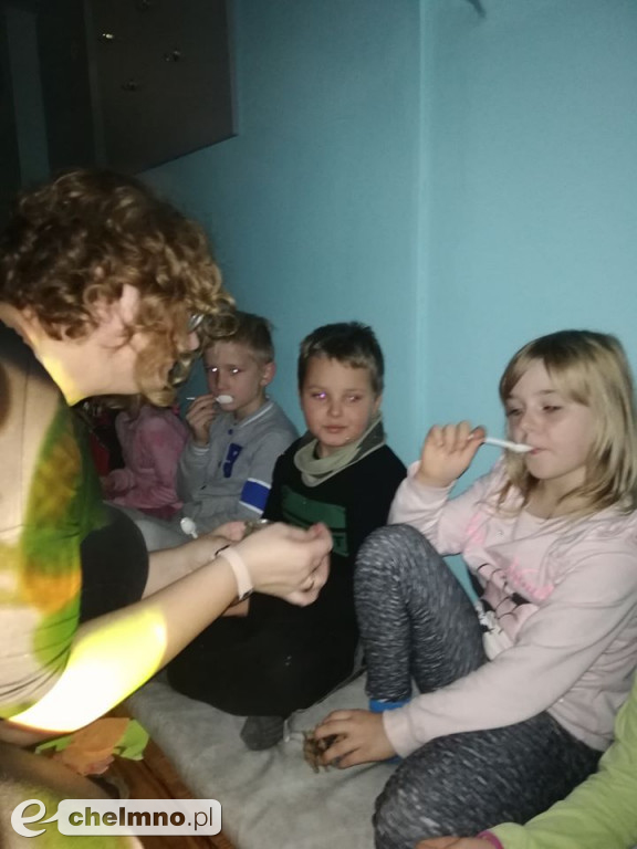 Jesienna Stymulacja Sensoryczna