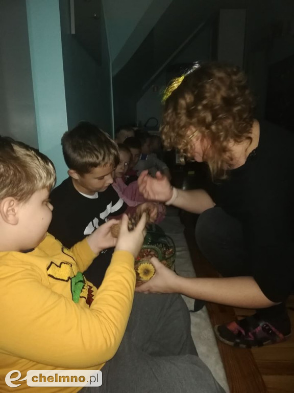 Jesienna Stymulacja Sensoryczna