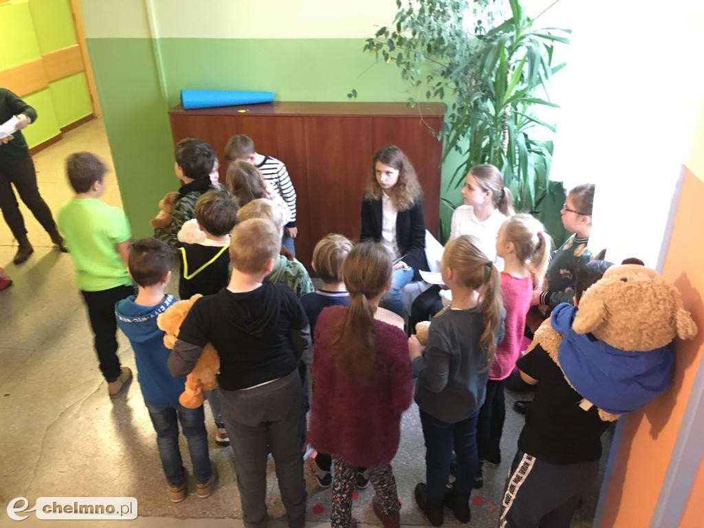 Szaleństwo z pluszowymi misiami w Czwórce