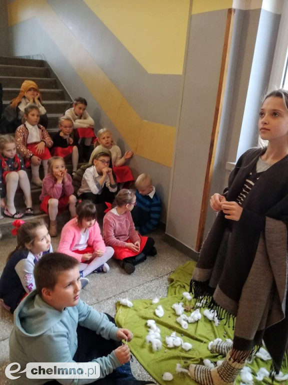 Szaleństwo z pluszowymi misiami w Czwórce