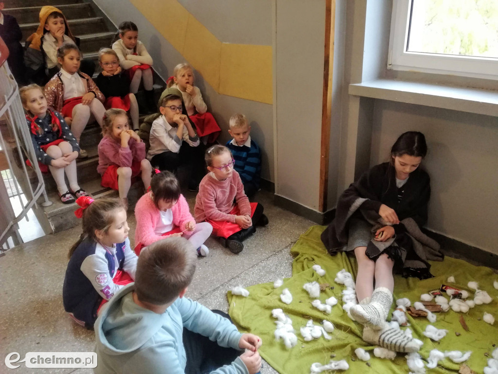 Szaleństwo z pluszowymi misiami w Czwórce