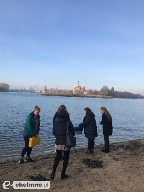 Realizacja Projektu: Rozwój i podnoszenie kompetencji, w tym kluczowych uczniów z powiatu chełmińskiego