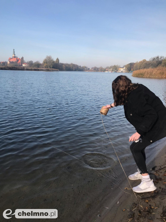 Realizacja Projektu: Rozwój i podnoszenie kompetencji, w tym kluczowych uczniów z powiatu chełmińskiego
