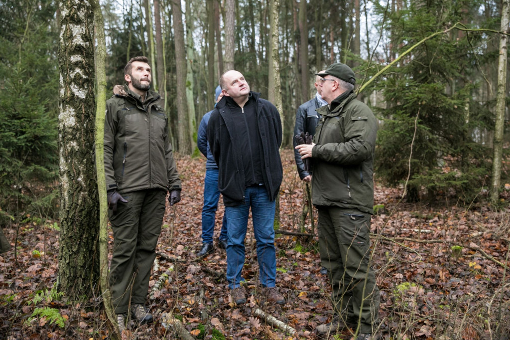 Urząd Marszałkowski zaczyna przygotowania do świąt