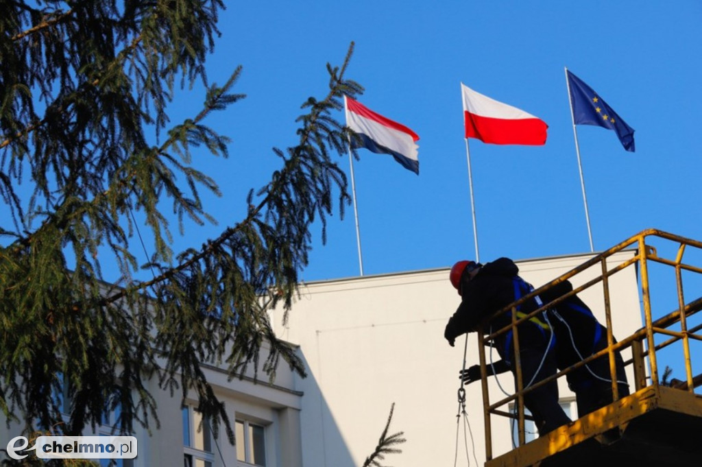 Choinka Wojewódzka pochodzi z lasu w powiecie chełmińskim