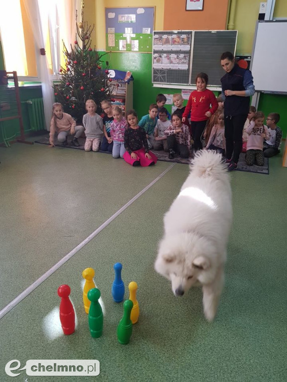 Jak postępować z psem? Sympatyczna wizyta Presleya