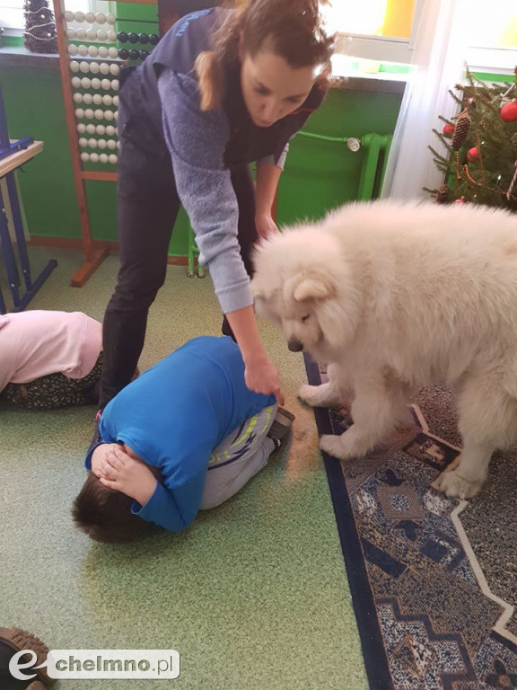 Jak postępować z psem? Sympatyczna wizyta Presleya
