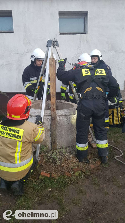 Strażacy uratowali kotka, który wpadł do studni