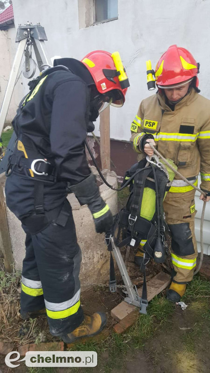 Strażacy uratowali kotka, który wpadł do studni