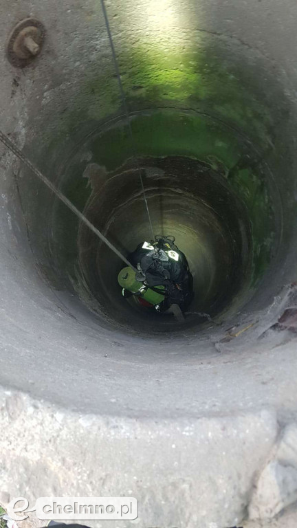 Strażacy uratowali kotka, który wpadł do studni