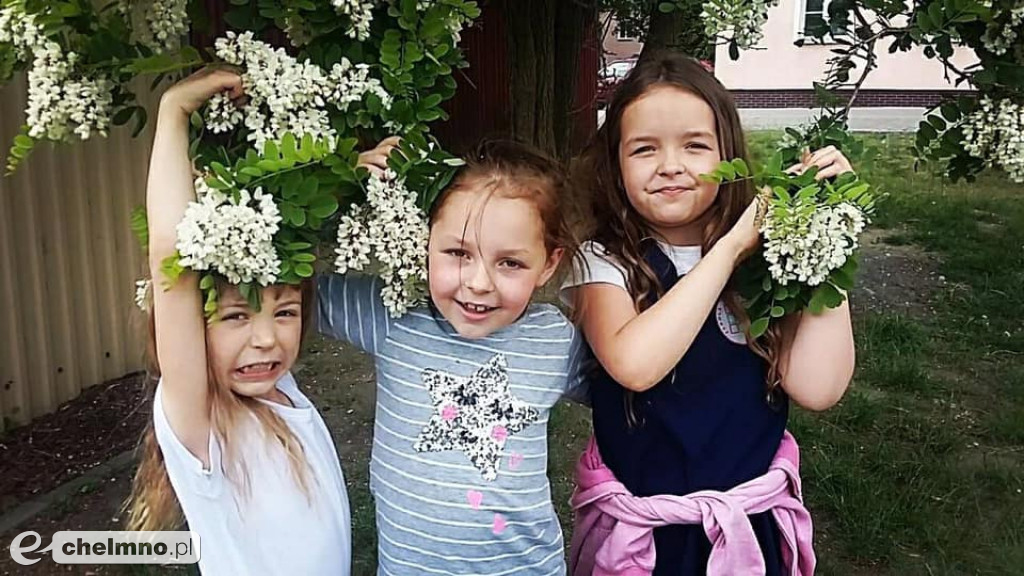 Kilka migawek z życia uczniów Katolika