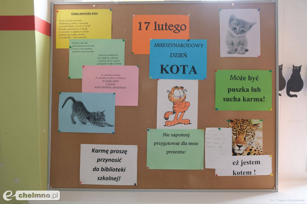 Śliczne futrzaki opanowały naszą szkołę z okazji Dnia Kota