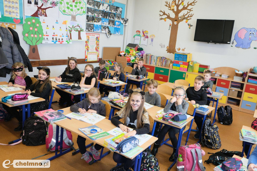 Śliczne futrzaki opanowały naszą szkołę z okazji Dnia Kota